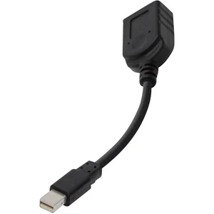 club3D CAC-1110 DisplayPort adaptér [1x mini DisplayPort zástrčka - 1x zásuvka DisplayPort] čierna  20.00 cm