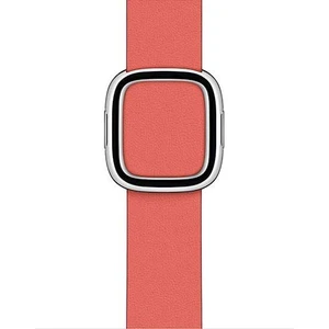 Apple Watch 40mm Pink Citrus Modern Buckle - Medium