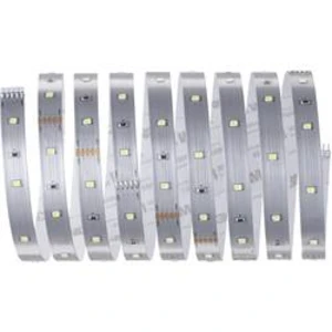 LED pásek Paulmann MaxLED Stripe Daylight 79858, N/A, 2.5 m