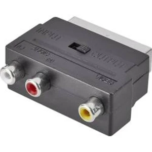 Cinch / SCART adaptér SpeaKa Professional SP-7870340, černá