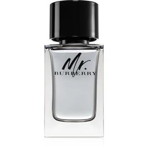 Burberry Mr. Burberry toaletní voda pro muže 100 ml