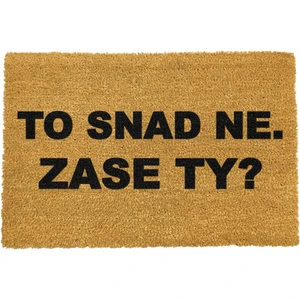 Rohožka z prírodného kokosového vlákna Artsy Doormats Zase ty?, 40 x 60 cm