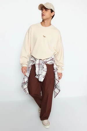 Trendyol Beige Oversize/Wide Cut Dinosaur Embroidered Sweatshirt with Fleece Inside