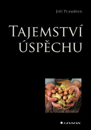 Tajemství úspěchu - Jiří Plamínek - e-kniha