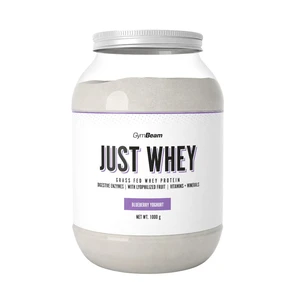 GYMBEAM Just Whey čučoriedkový jogurt 1000 g