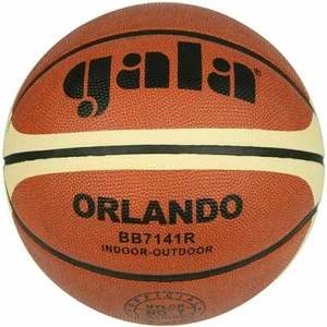 Gala Orlando 7 Basketball