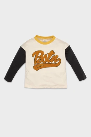 DEFACTO Baby Boy Crew Neck Printed Color Block Long Sleeve T-Shirt