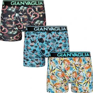 3PACK men's boxers Gianvaglia multicolored