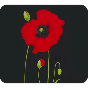 Płyta ochronna na ścianę za kuchenką ze szkła hartowanego 50x56 cm Poppy – Maximex