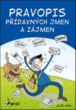 Pravopis přídavných jmen a zájmen