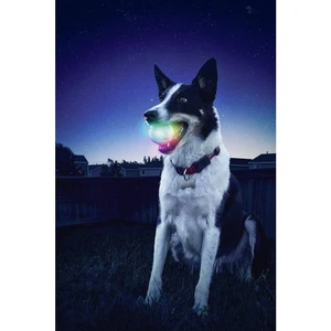 NITE Ize GlowStreak LED loptu priehľadná  1 ks