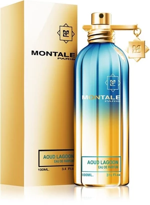 Montale Aoud Lagoon - EDP 50 ml