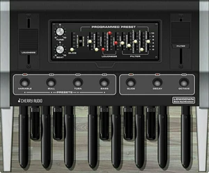 Cherry Audio Lowdown Bass Synthesizer (Produs digital)