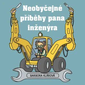 Neobyčejné příběhy pana inženýra - Barbora Klárová