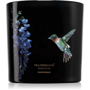 Vila Hermanos Jungletopia Hummingbird vonná sviečka 620 g