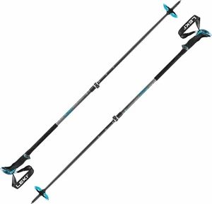 Leki Guide Lite 2 Silvergrey/Petrol/Black 110 - 145 cm Túrabotok