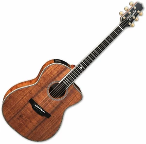 Takamine The 60th Natural