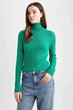 DEFACTO Slim Fit Turtleneck Pullover