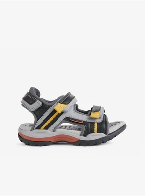 Black-grey boys sandals Geox Borealis - Boys