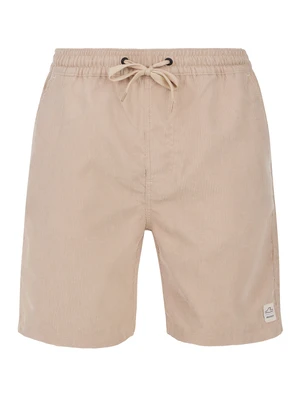 Men's shorts Protest PRTULEY