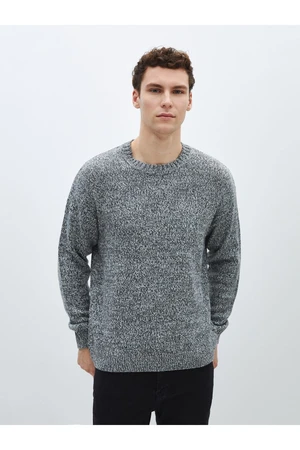 LC Waikiki Crew Neck Long Sleeve Men's Knitwear Sweater