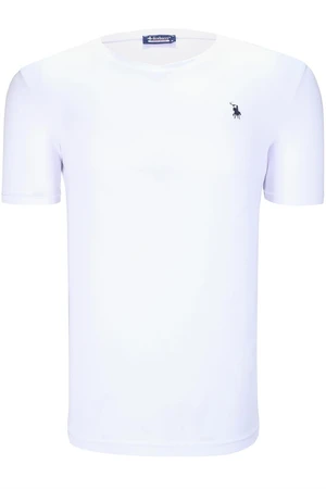 T8568 DEWBERRY V-NECK MEN'S T-SHIRT-PLAIN WHITE