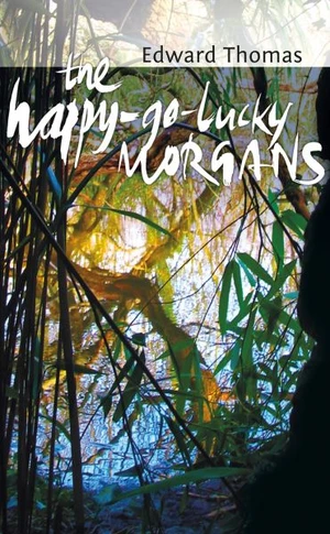 Happy-Go-Lucky Morgans