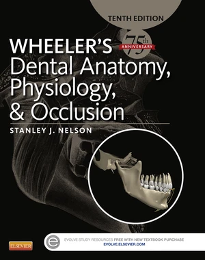 Wheeler's Dental Anatomy, Physiology and Occlusion - E-Book