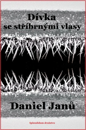 Dívka se stříbrnými vlasy - Janů Daniel - e-kniha