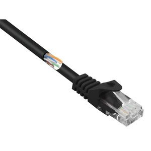 Basetech BT-2270741 RJ45 sieťové káble, prepojovacie káble CAT 5e U/UTP 15.00 m čierna s ochranou 1 ks