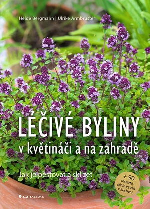 Kniha: Léčivé byliny v květináči a na zahradě od Bergmann Heide