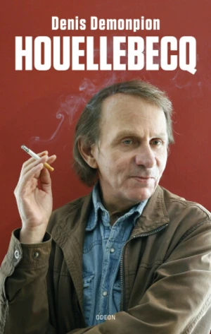 Houellebecq - Demonpion Denis - e-kniha