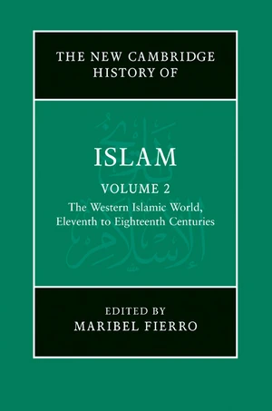 The New Cambridge History of Islam