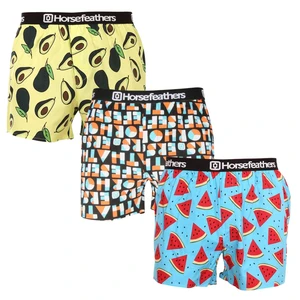 3PACK Men's Boxer Shorts Horsefeathers Frazier multicolored