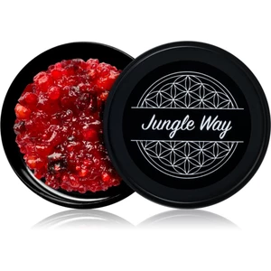 Jungle Way Hibiscus Frankincense Oud Bakhoor vydymovadlá 20 g