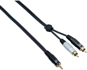 Bespeco EAYMSR300 3 m Kabel Audio