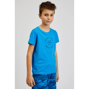 SAM 73 Blue boys' cotton T-shirt with print SAM73 Pyrop