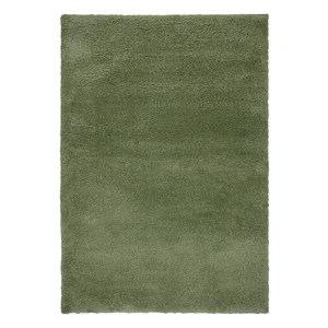 Zielony dywan 200x290 cm – Flair Rugs