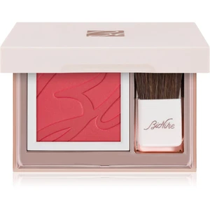 BioNike Color Pretty Touch kompaktná lícenka odtieň 310 Rouge Framboise Trousse 5 g