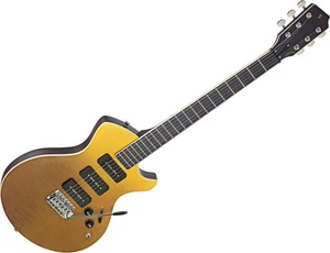 Stagg Silveray Nash Shading Sunburst E-Gitarre