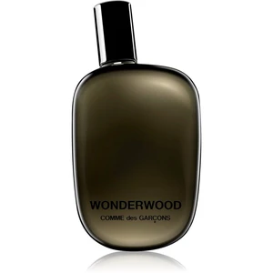 Comme des Garçons Wonderwood parfumovaná voda pre mužov 50 ml