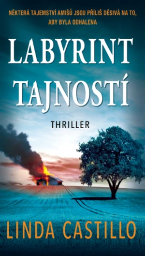 Labyrint tajností - Linda Castillo - e-kniha