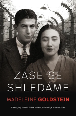 Zase se shledáme - Madeleine Goldstein - e-kniha