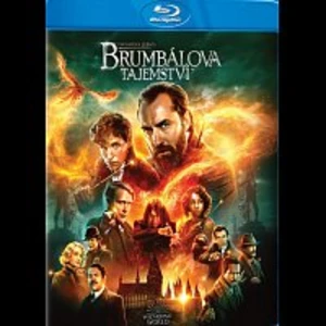 Různí interpreti – Fantastická zvířata: Brumbálova tajemství Blu-ray