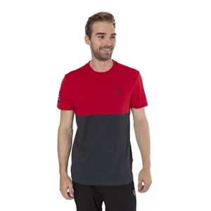 Grey-red men's T-shirt SAM 73