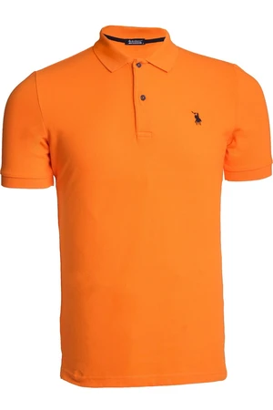 Polo da uomo  dewberry