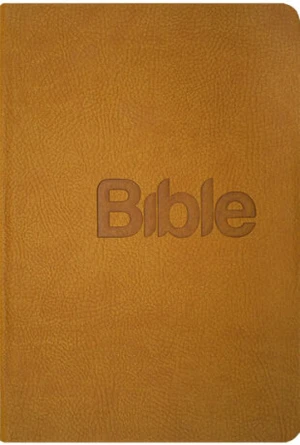 Bible překlad 21. století - Alexandr Flek