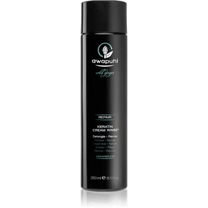 Paul Mitchell Awapuhi Wild Ginger vyživujúci kondicionér pre všetky typy vlasov 250 ml