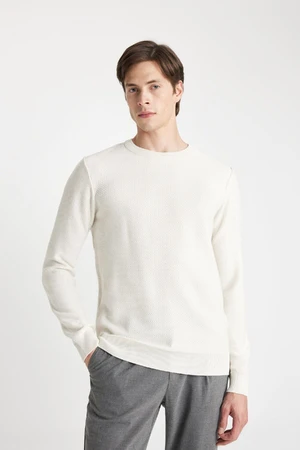 DEFACTO Men's Beige Standard Fit Regular Cut Crew Neck Textured Knitwear Sweater