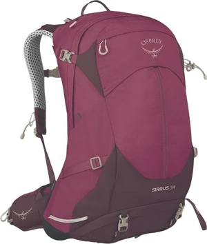 Osprey Sirrus 34 Elderberry Purple/Chiru Tan Outdoor Zaino